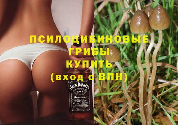 наркотики Белокуриха