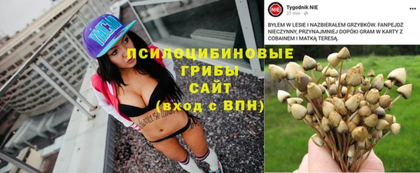 наркотики Белокуриха