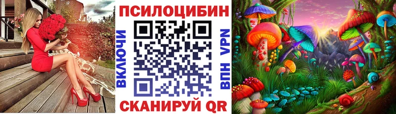 Псилоцибиновые грибы прущие грибы  Купить где  Себеж 